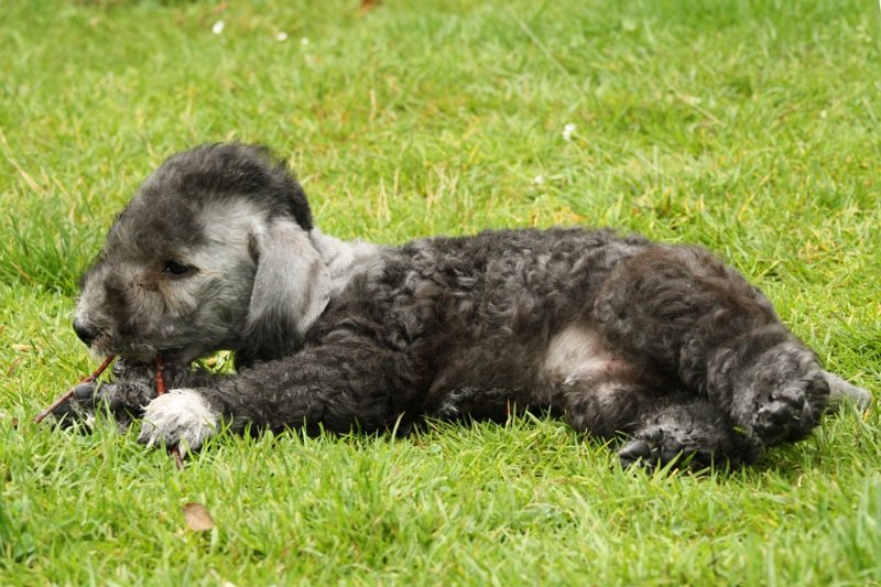 Antares 2009-07-12 (38).JPG